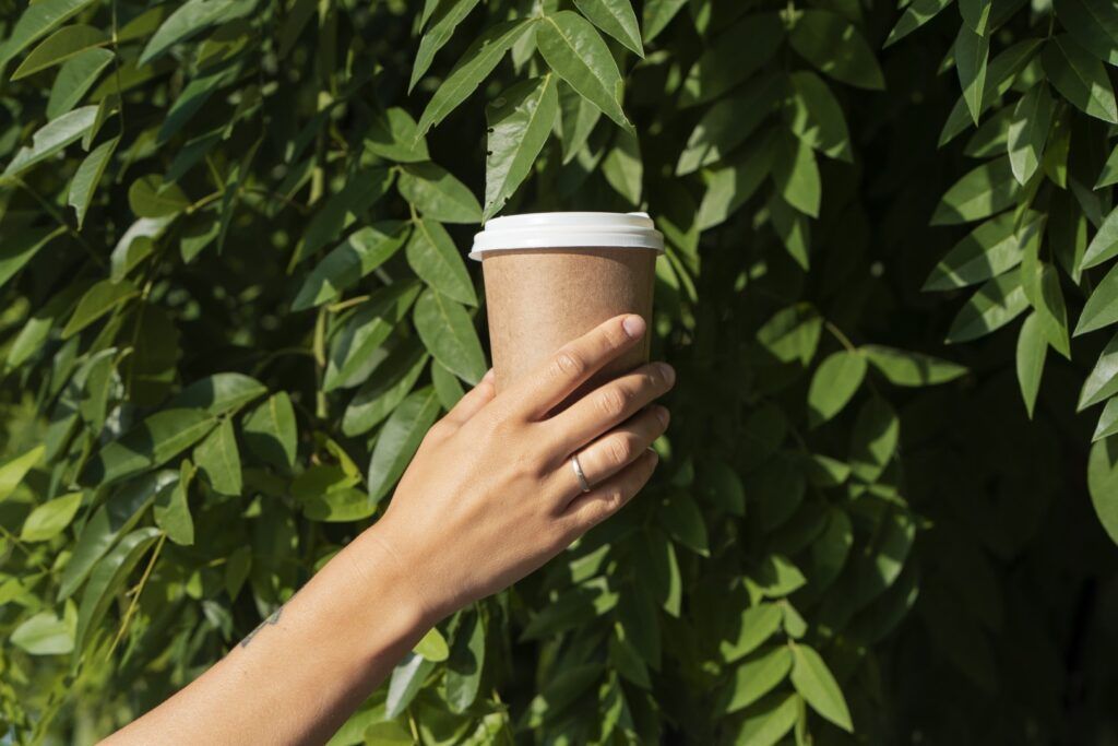 Packaging Biodegradable